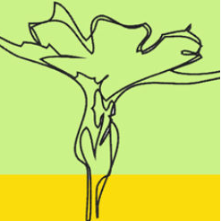 Magyar Gyomkutató Társaság